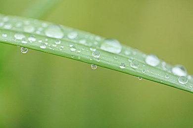 《彩虹六号：异种》新干员HIBANA介绍 引爆炸药打开突破口